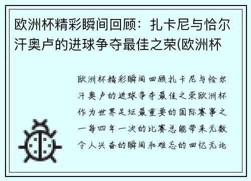 欧洲杯精彩瞬间回顾：扎卡尼与恰尔汗奥卢的进球争夺最佳之荣(欧洲杯 扎卡)