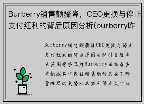 Burberry销售额骤降，CEO更换与停止支付红利的背后原因分析(burberry咋了)