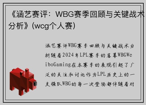 《涵艺赛评：WBG赛季回顾与关键战术分析》(wcg个人赛)
