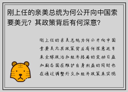 刚上任的亲美总统为何公开向中国索要美元？其政策背后有何深意？